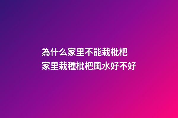 為什么家里不能栽枇杷 家里栽種枇杷風水好不好
